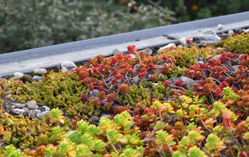 the cost of Adbaston green roof installation