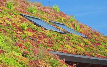 Adbaston living roof systems