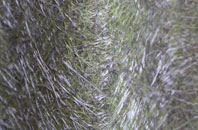 Adbaston fibreglass roof work